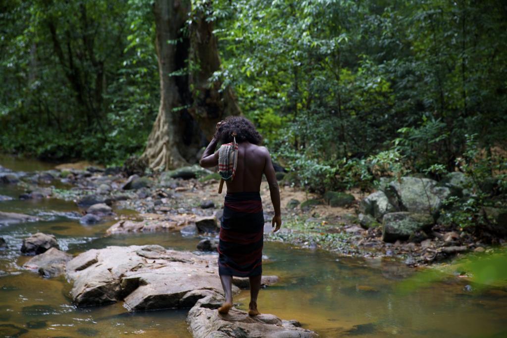 Gal Oya Lodge Galgamuwa  Zimmer foto